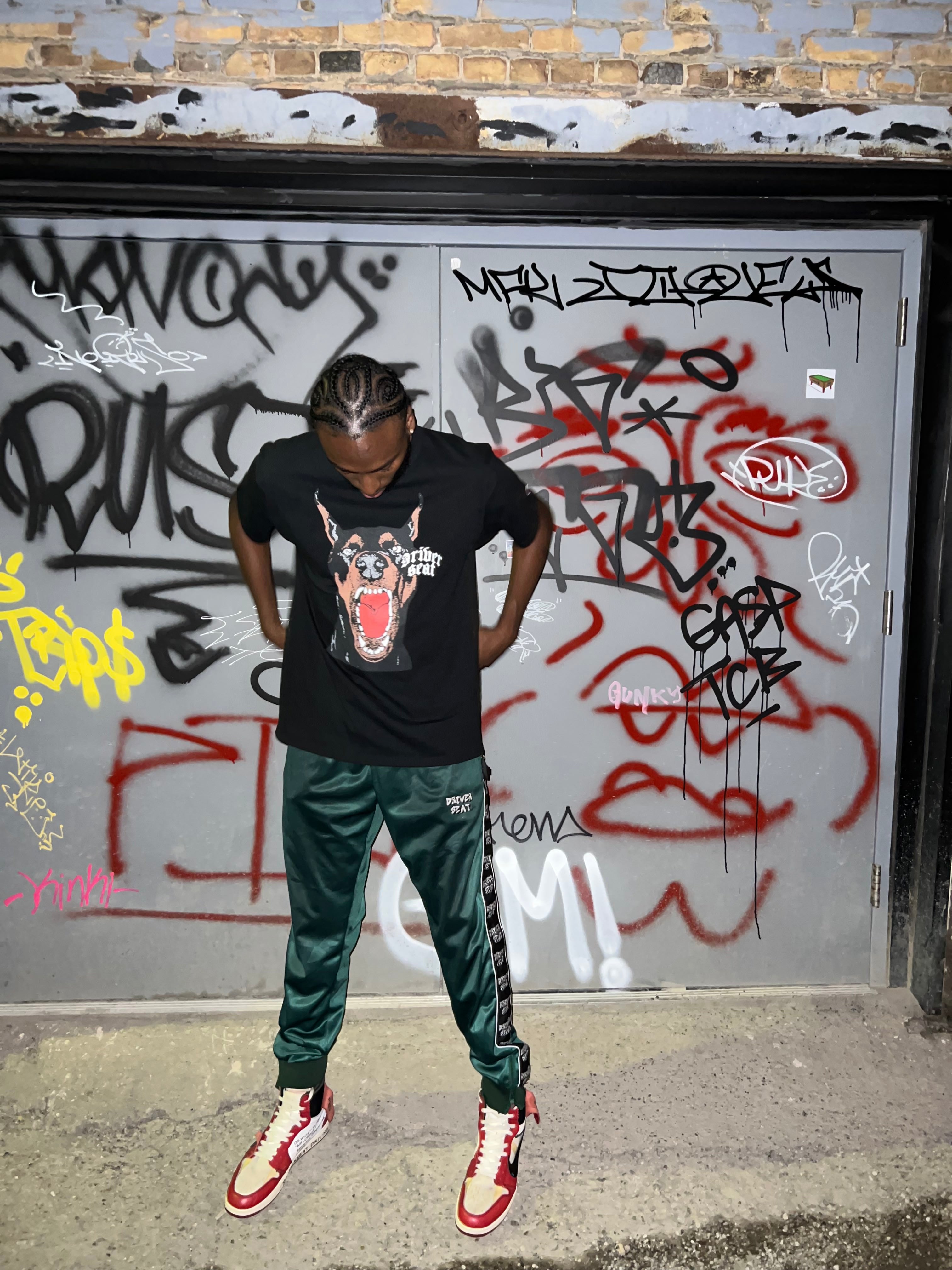Unleashing the Doberman Collection: A Tribute to Individuality