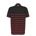Striped DryMotion® Polo Shirt
