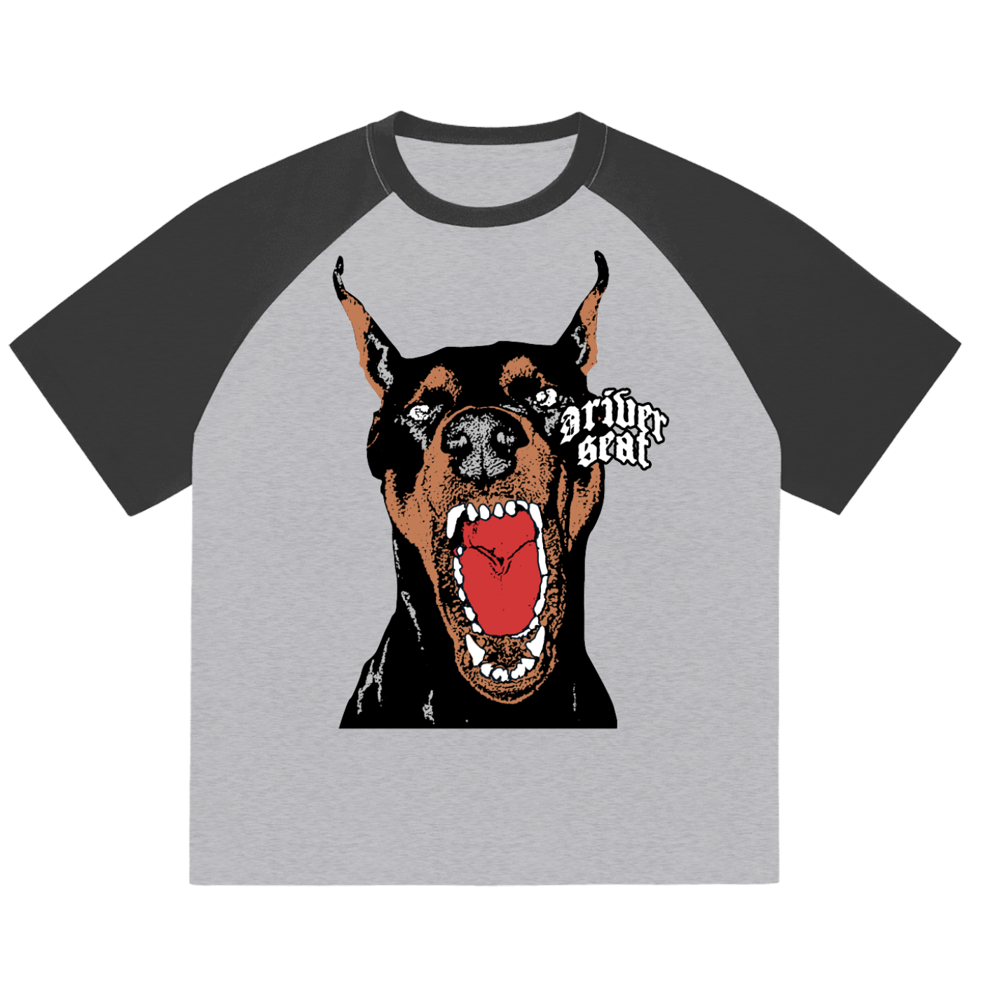 Doberman Color-Blocked T-shirt