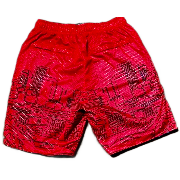 Reversible City AAU Shorts (Red/Blue)