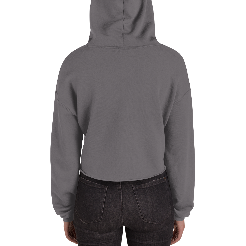 The World Is Yours Crop Hoodie - Storm